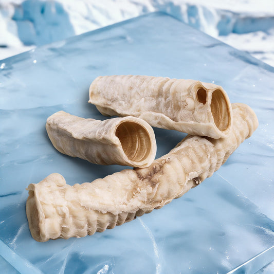 Freeze-Dried Beef Trachea (5-Pack) - White Label
